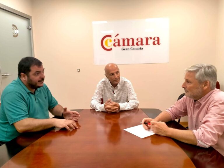 Camara 29-11 01